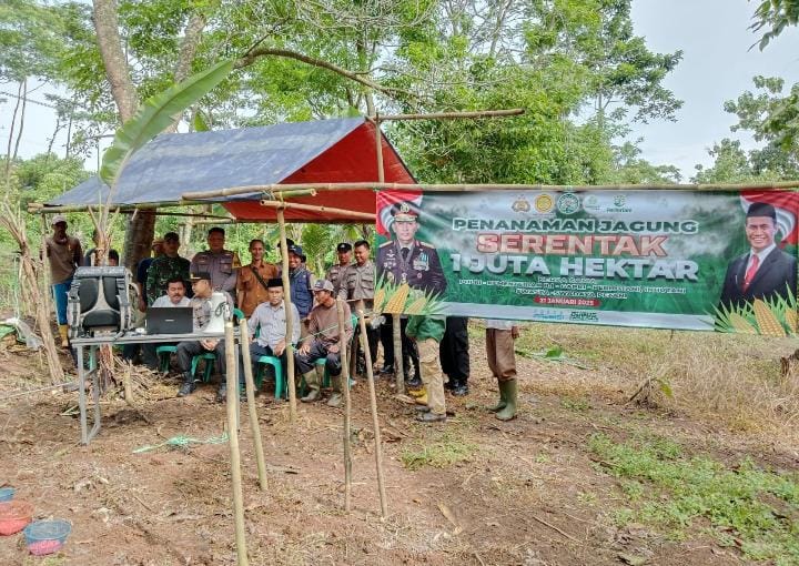 Dukung Ketahanan Pangan, Kapolsek Anyer Bersama Petani Tanam Bibit Jagung Serentak 39 IMG 20250121 WA0035